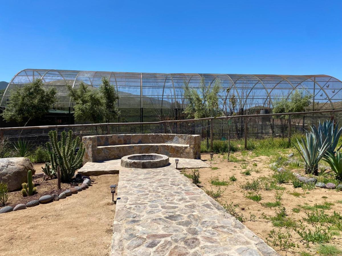 Coquenas Del Valle Valle de Guadalupe Eksteriør bilde
