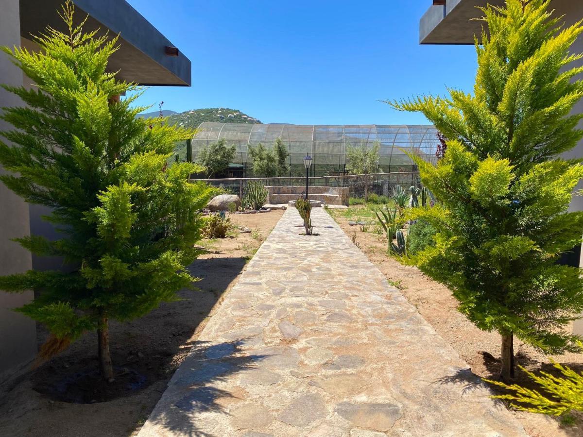 Coquenas Del Valle Valle de Guadalupe Eksteriør bilde